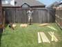 Here's Mark getting ready to replace the old, falling-down fence.